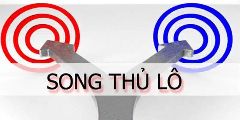 Khái quát về cặp song thủ lô là gì?